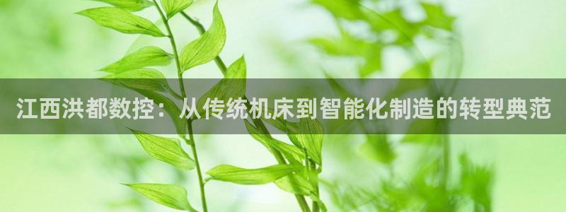 天辰娱乐957807:江西洪都数控:从传统机床到智能化制造的转型典范