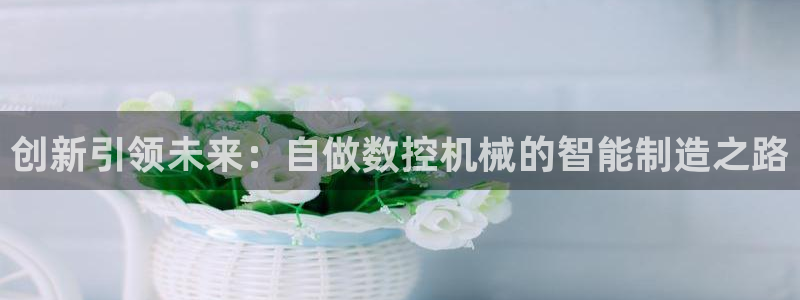 天辰娱乐服务:创新引领未来:自做数控机械的智能制造之路