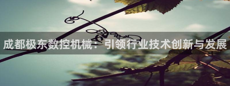 天辰娱乐维护:成都极东数控机械:引领行业技术创新与发展