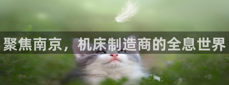 天辰娱乐官:聚焦南京,机床制造商的全息世界