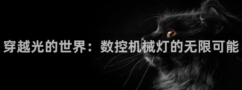 天辰娱乐地址:穿越光的世界:数控机械灯的无限可能