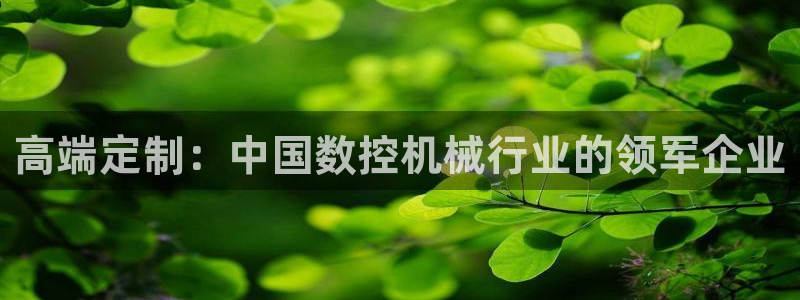 天辰娱乐官网平台下载:高端定制:中国数控机械行业的领军企业