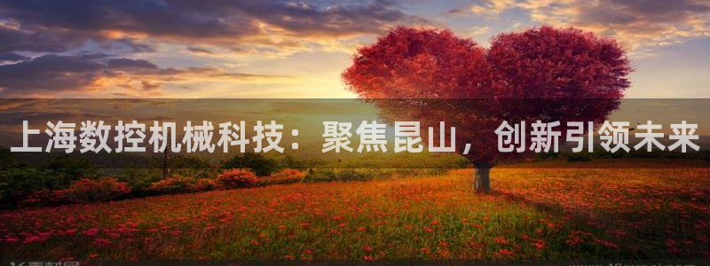 天辰娱乐下载:上海数控机械科技:聚焦昆山,创新引领未来