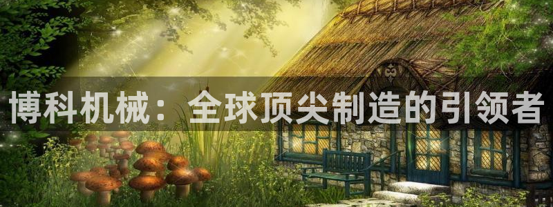 天辰平台娱乐:博科机械:全球顶尖制造的引领者