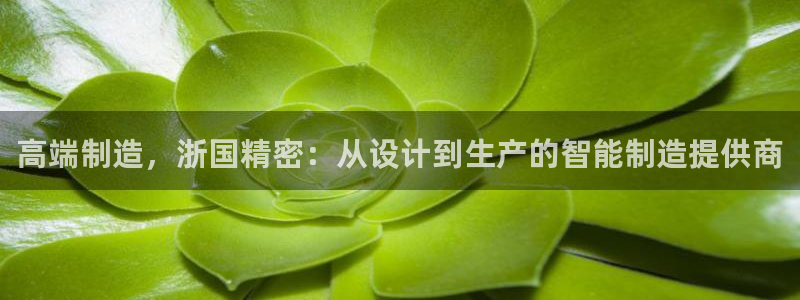 天辰娱乐主管:高端制造,浙国精密:从设计到生产的智能制造提供商